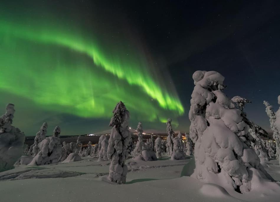 Nordic Lights Loft - Cozy Studio In The Centrum Rovaniemi Bagian luar foto